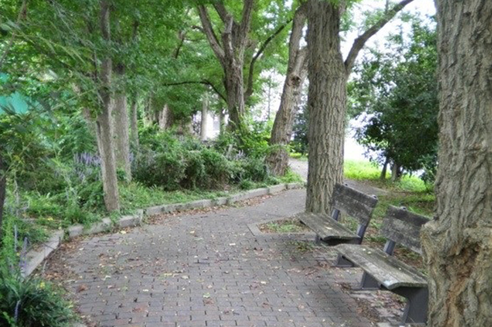 遊歩道